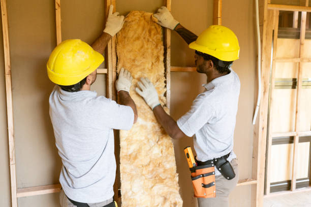 Best Batt and Roll Insulation in Loma Linda, CA